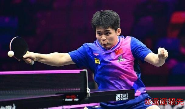 深圳亚洲杯再掀乒乓热潮 国乒12名选手携手出战