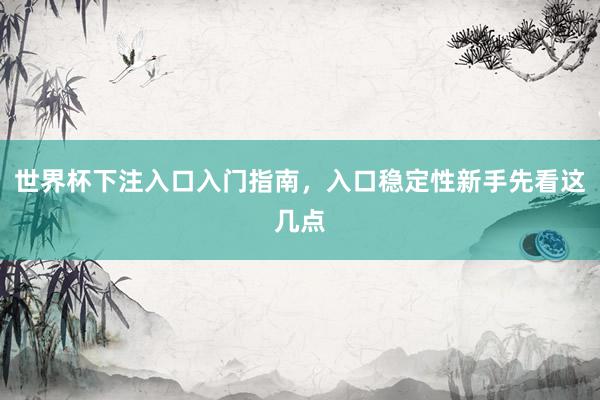 世界杯下注入口入门指南，入口稳定性新手先看这几点