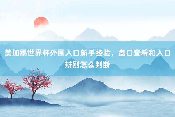 美加墨世界杯外围入口新手经验，盘口查看和入口辨别怎么判断