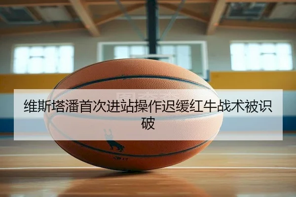维斯塔潘首次进站操作迟缓红牛战术被识破 | LisboaMacau
